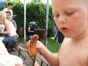 DSCF6219.JPG