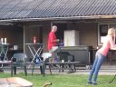 IMG_0032.jpg